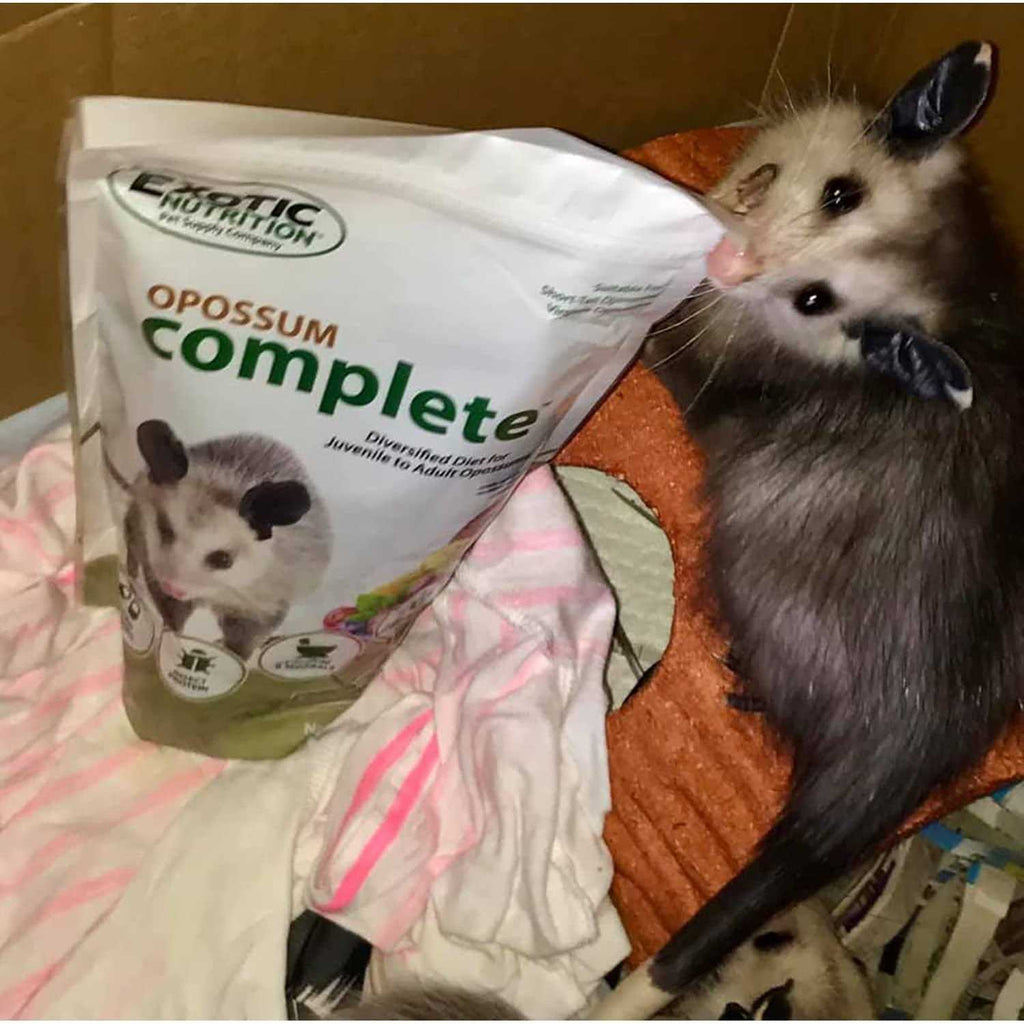 Opossum Complete Food F65431
