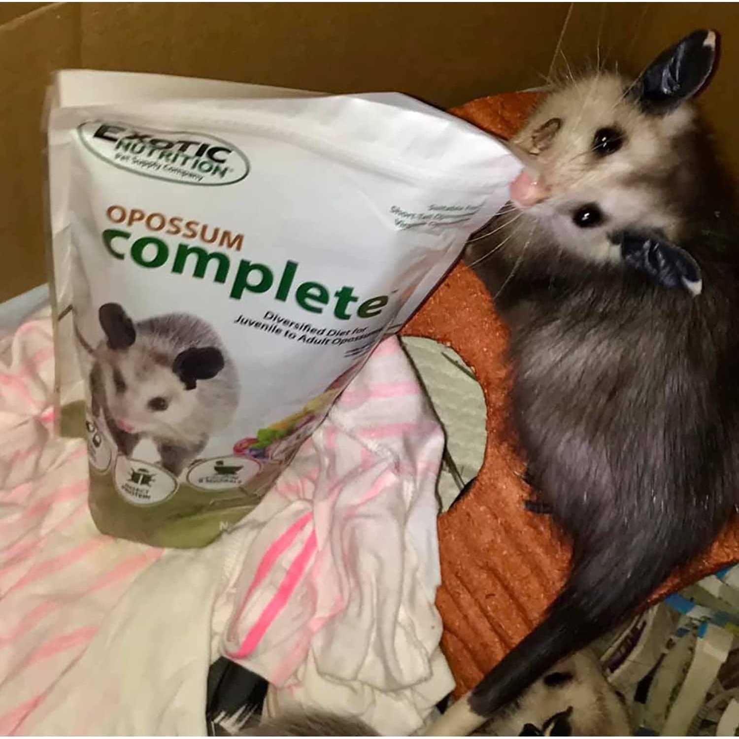 Opossum Complete Food F65431