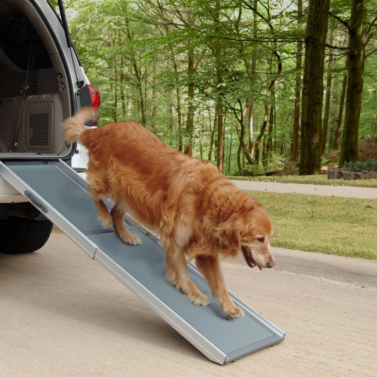 Telescoping Pet Ramp B702