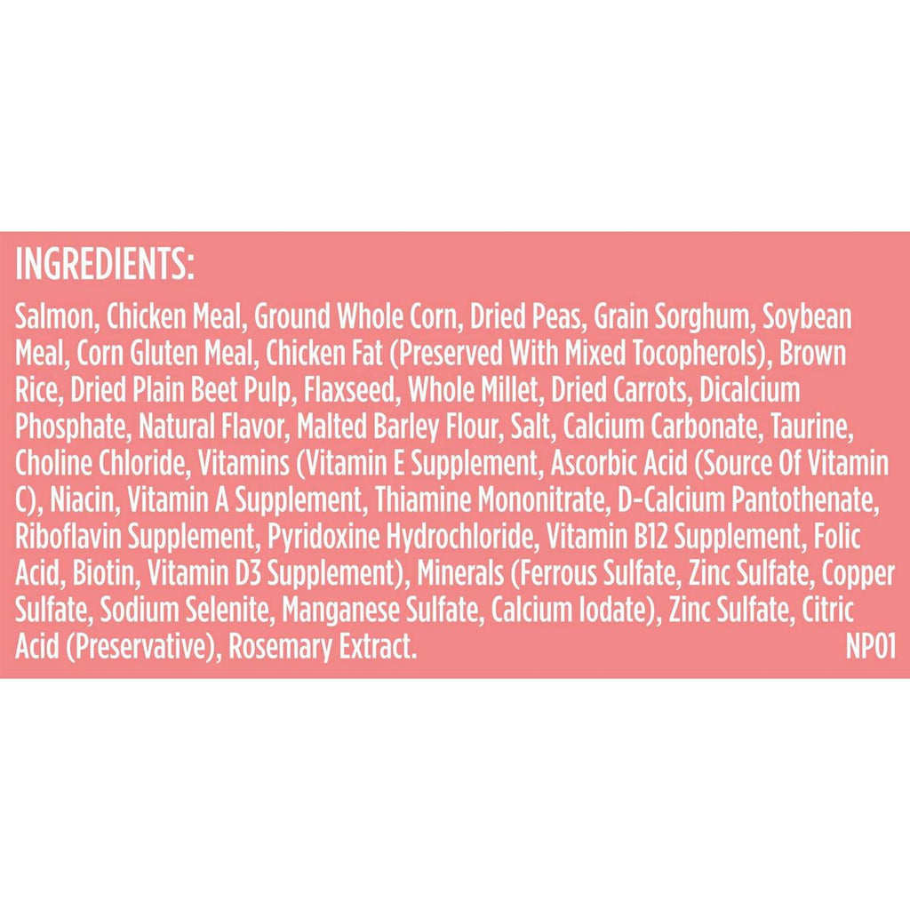 Salmon Veggies & Brown Recipe Dry Dog Food V125