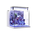 Mini Acrylic Desktop Aquarium with Back Filter System and LED Light T224897