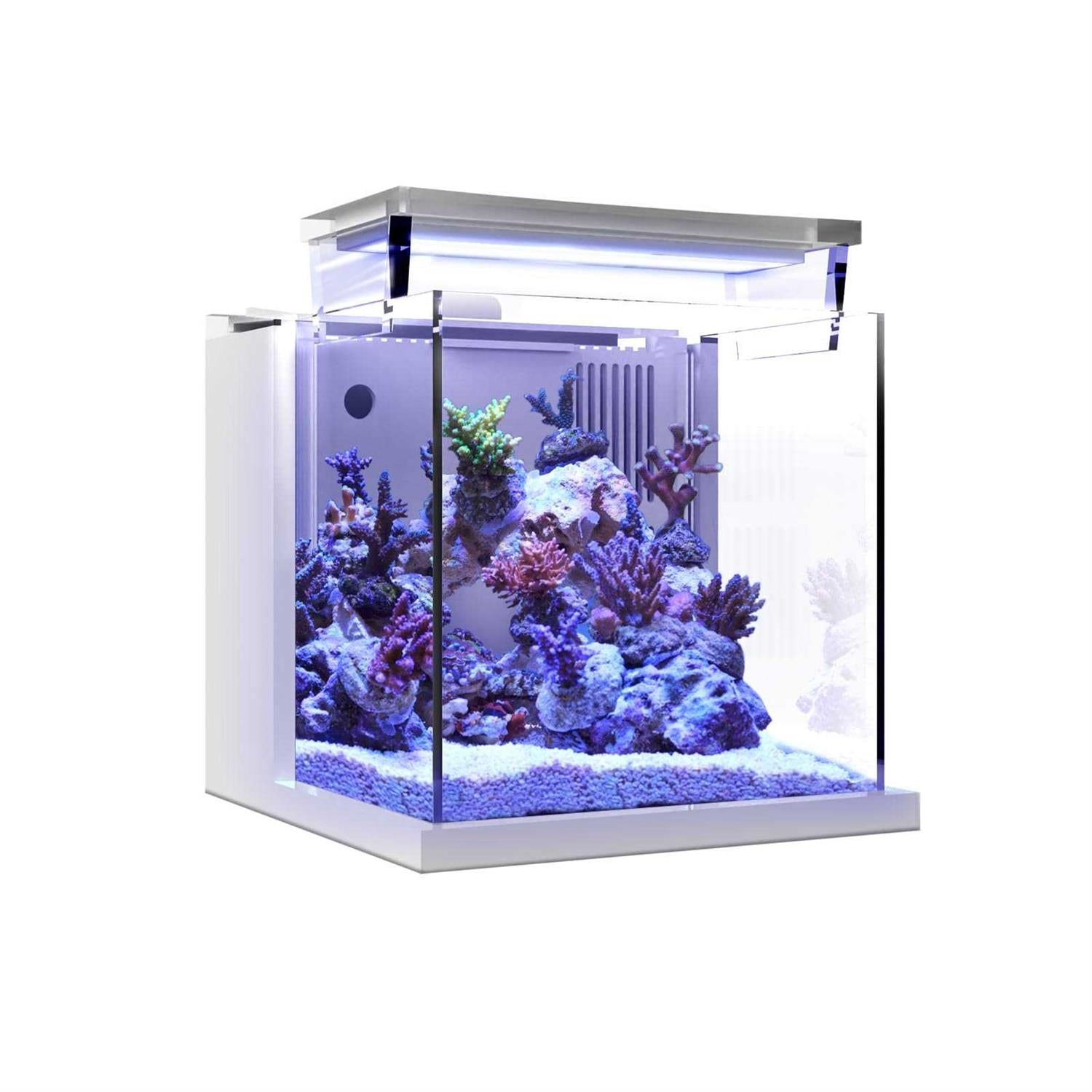 Mini Acrylic Desktop Aquarium with Back Filter System and LED Light T224897