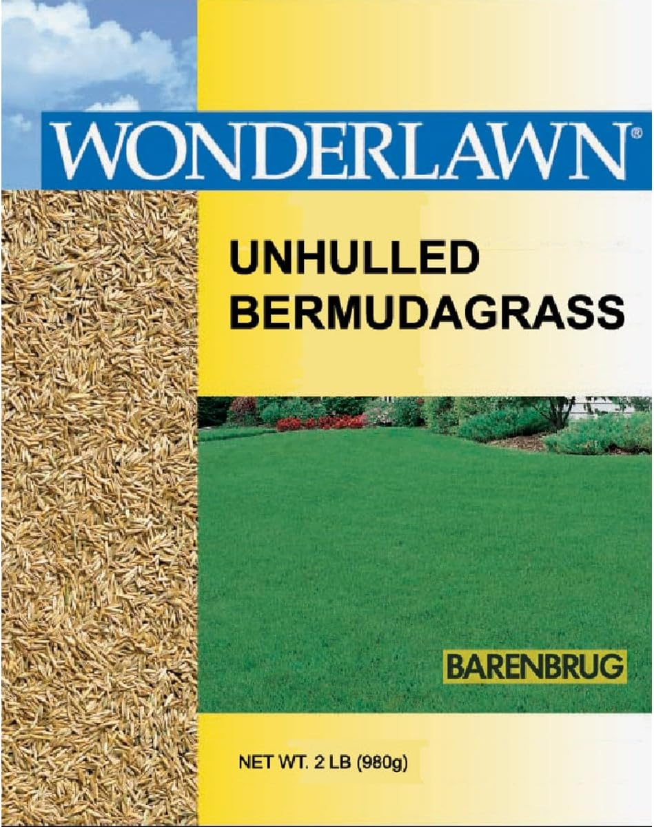 Bermudagrass Grass Seed W359778