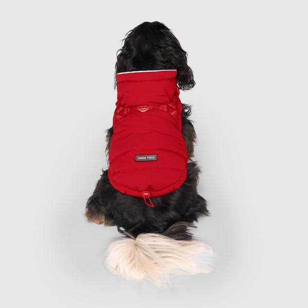 Black Harness Puffer P3175