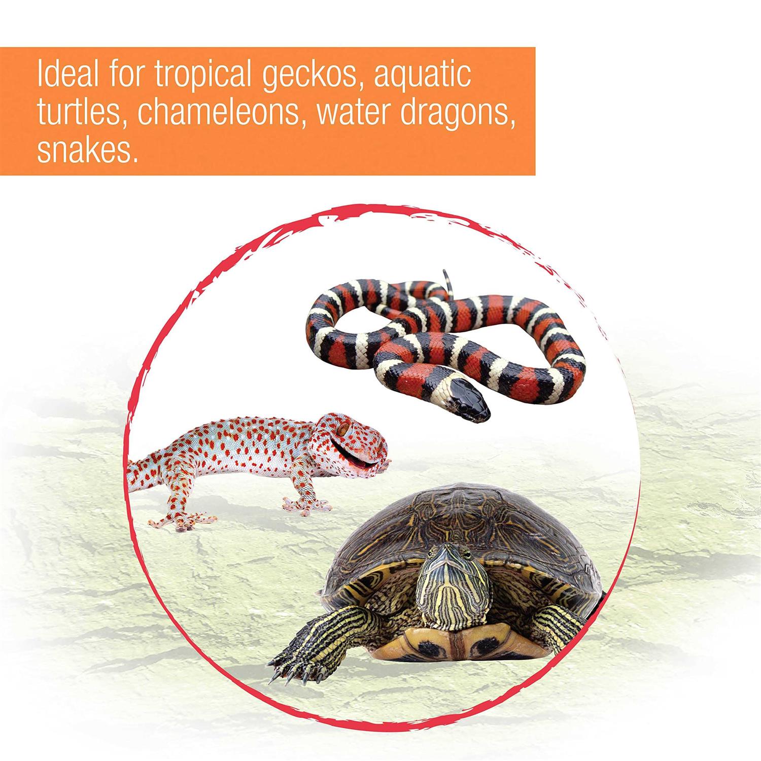 Tropical Reptile Fixture V557