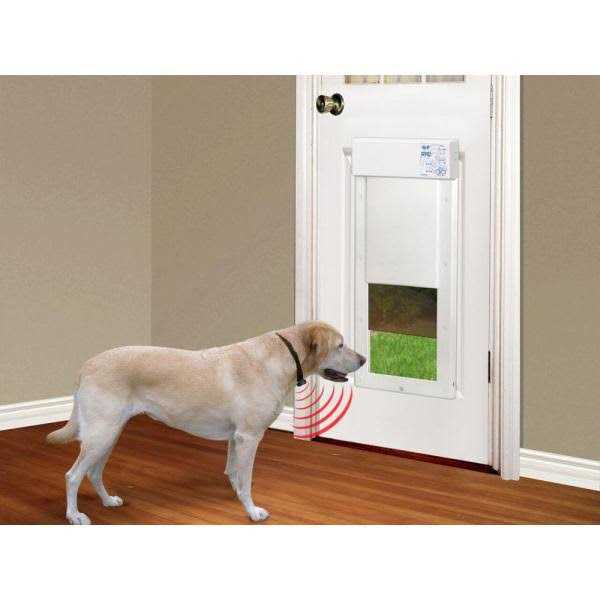Motorized Pet Door F35099