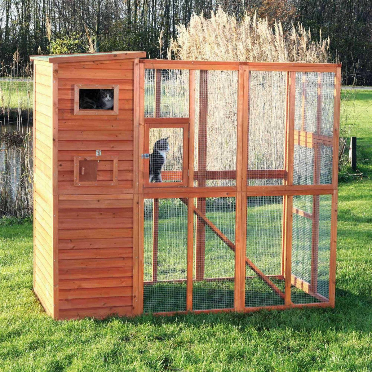 Wooden Outdoor Cat Run S3560