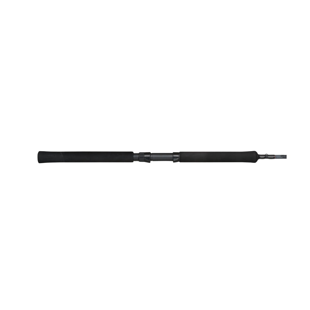 Spinning Fishing Rod S28874