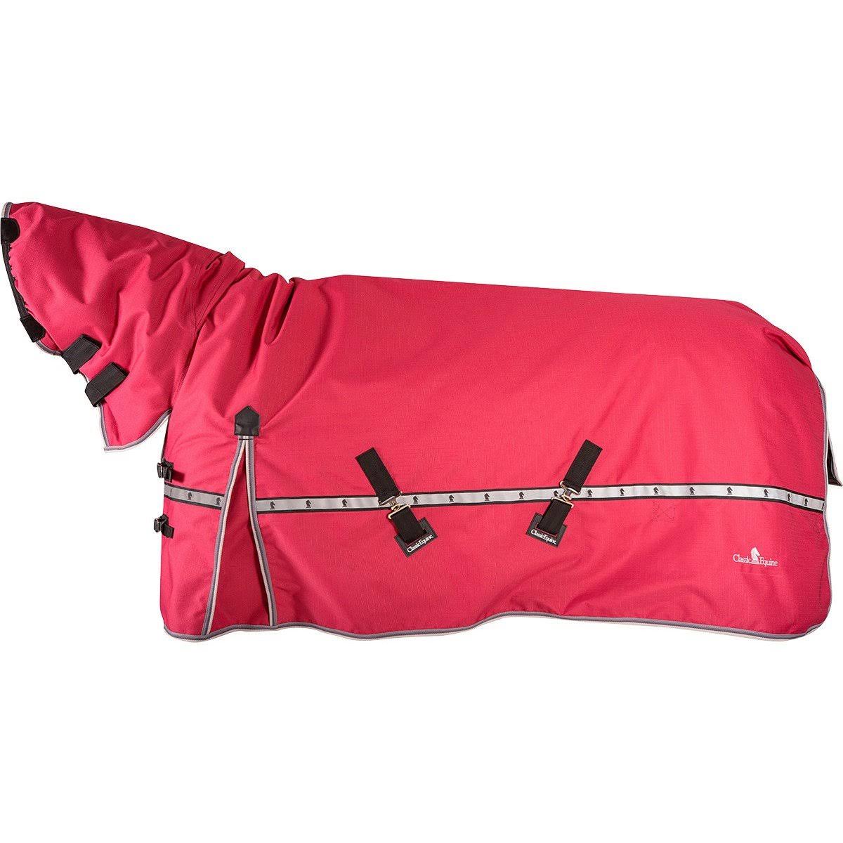 10k Cross Trainer Horse Blanket with Hood N537726
