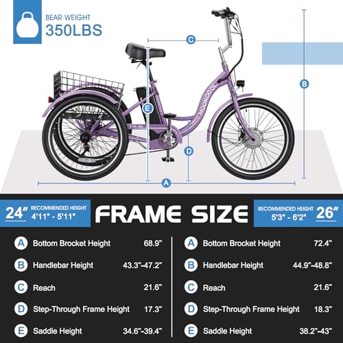 350W 36V 7 Speeds 3 Wheels Electric Tricycle with Large Basket P7671