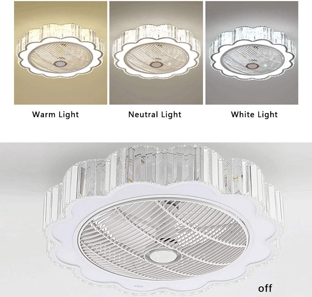 23" Ceiling Fan with Lights, Acrylic LED Ceiling Fan with Remote Control White G576