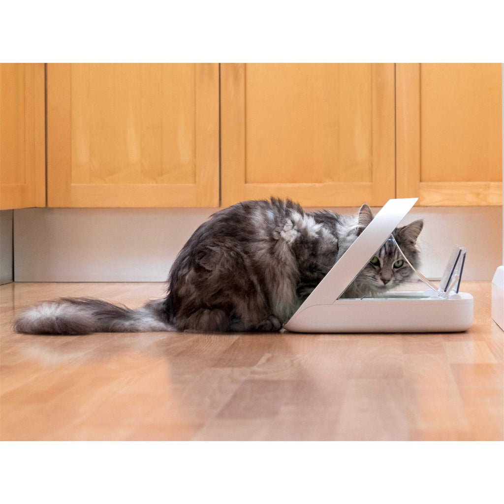 Microchip Pet Feeder R371714
