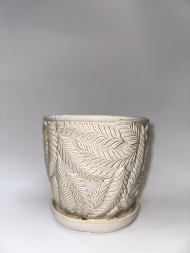 White 7 Inch Indoor Ceramic Planter Pot with Saucer and Drainage Hole U73758