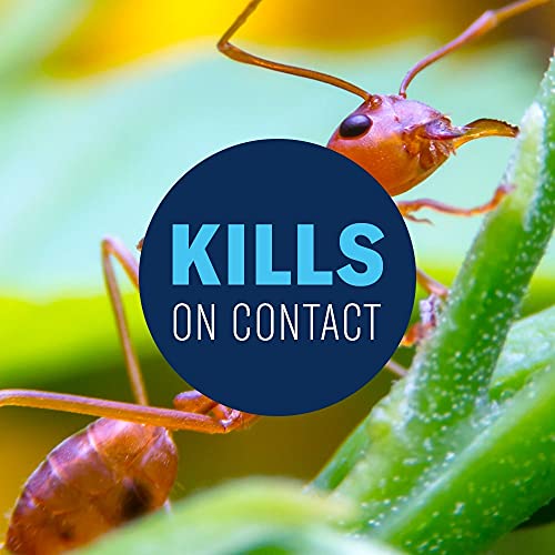 24 Hour Lawn Insect & Fire Ant Killer Granules 20 lb D49424