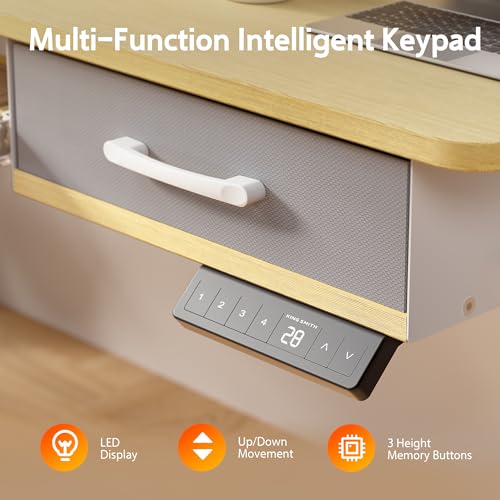48x24 Inches Electric Standing Desk with 2 Drawers, Height Adjustable, Oak Y1803