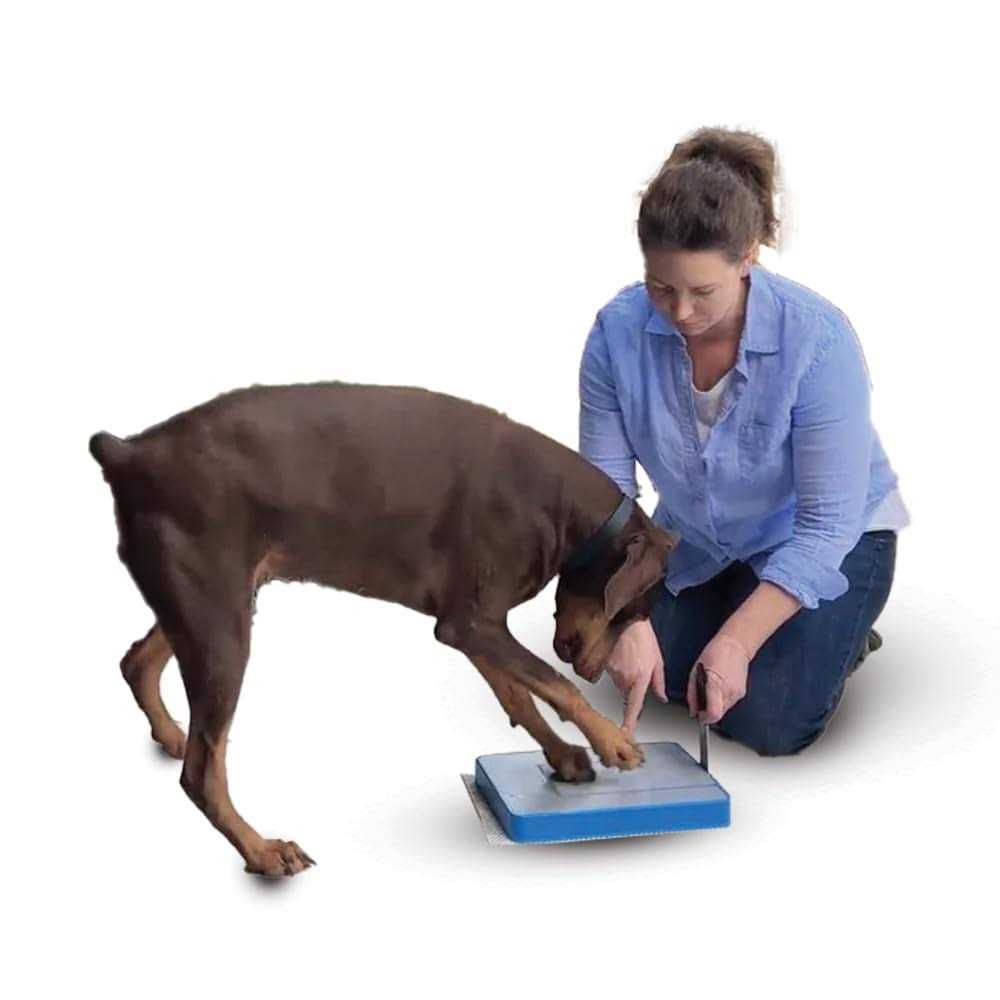 Dog Nail File Board M2853